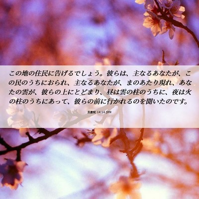 Picture 06 - 民数記 14:14 JPN - この地の住民に告げるでしょう。彼 - Bible Verse Picture