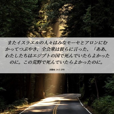 Picture 06 - 民数記 14:2 JPN - またイスラエルの人々はみなモーセ - Bible Verse Picture