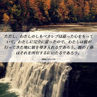 Picture 06 - 民数記 14:24 JPN - ただし、わたしのしもべカレブは違 - Bible Verse Picture