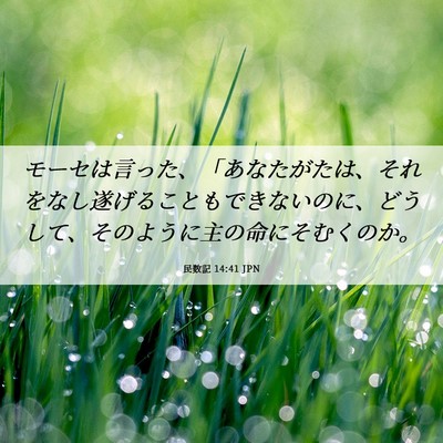 Picture 06 - 民数記 14:41 JPN - モーセは言った、「あなたがたは、 - Bible Verse Picture