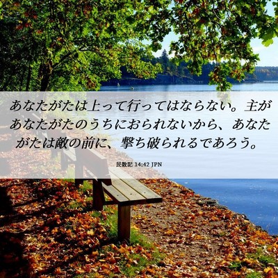 Picture 06 - 民数記 14:42 JPN - あなたがたは上って行ってはならな - Bible Verse Picture