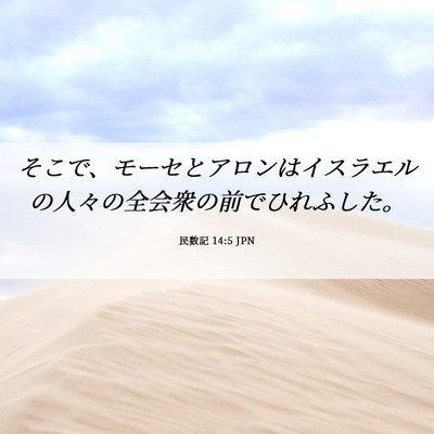 Picture 06 - 民数記 14:5 JPN - そこで、モーセとアロンはイスラエ - Bible Verse Picture