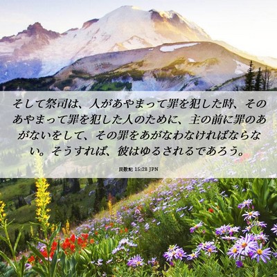 Picture 06 - 民数記 15:28 JPN - そして祭司は、人があやまって罪を - Bible Verse Picture