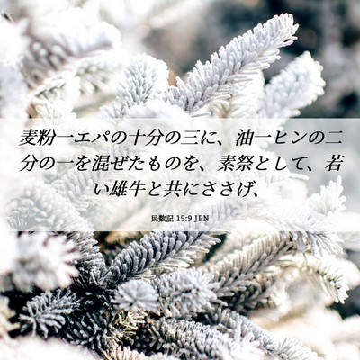 Picture 06 - 民数記 15:9 JPN - 麦粉一エパの十分の三に、油一ヒン - Bible Verse Picture
