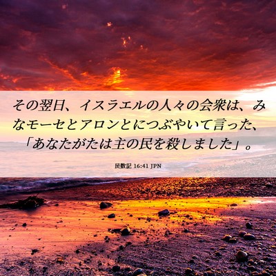 Picture 06 - 民数記 16:41 JPN - その翌日、イスラエルの人々の会衆 - Bible Verse Picture