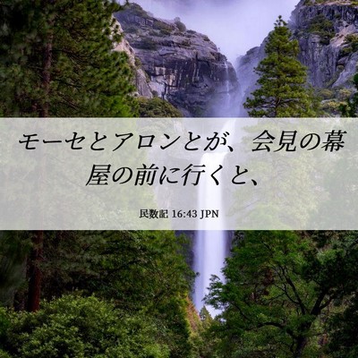 Picture 06 - 民数記 16:43 JPN - モーセとアロンとが、会見の幕屋の - Bible Verse Picture