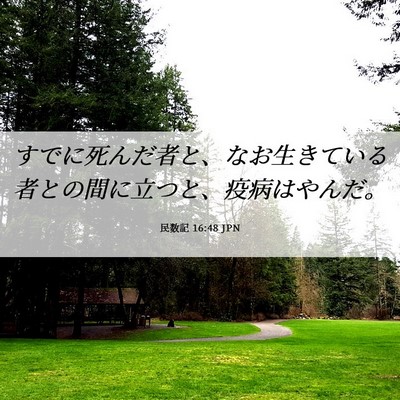 Picture 06 - 民数記 16:48 JPN - すでに死んだ者と、なお生きている - Bible Verse Picture