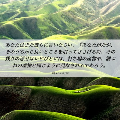 Picture 06 - 民数記 18:30 JPN - あなたはまた彼らに言いなさい、『 - Bible Verse Picture