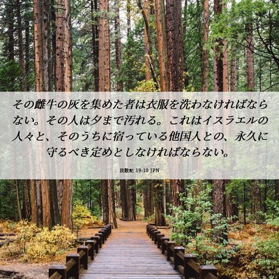 Picture 06 - 民数記 19:10 JPN - その雌牛の灰を集めた者は衣服を洗 - Bible Verse Picture