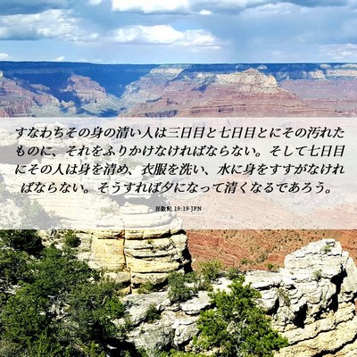 Picture 06 - 民数記 19:19 JPN - すなわちその身の清い人は三日目と - Bible Verse Picture
