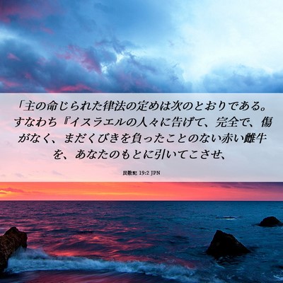Picture 06 - 民数記 19:2 JPN - 「主の命じられた律法の定めは次の - Bible Verse Picture