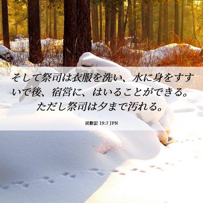 Picture 06 - 民数記 19:7 JPN - そして祭司は衣服を洗い、水に身を - Bible Verse Picture