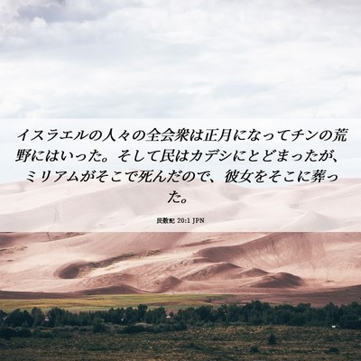 Picture 06 - 民数記 20:1 JPN - イスラエルの人々の全会衆は正月に - Bible Verse Picture
