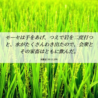 Picture 06 - 民数記 20:11 JPN - モーセは手をあげ、つえで岩を二度 - Bible Verse Picture