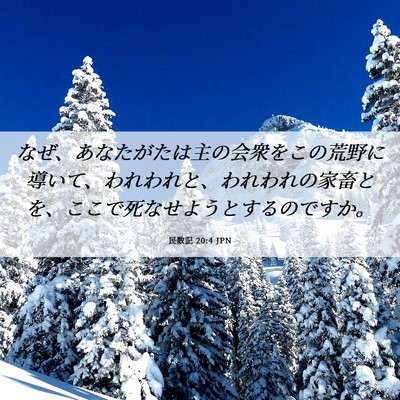Picture 06 - 民数記 20:4 JPN - なぜ、あなたがたは主の会衆をこの - Bible Verse Picture
