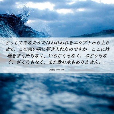 Picture 06 - 民数記 20:5 JPN - どうしてあなたがたはわれわれをエ - Bible Verse Picture