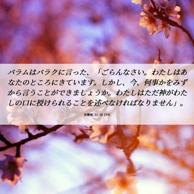 Picture 06 - 民数記 22:38 JPN - バラムはバラクに言った、「ごらん - Bible Verse Picture