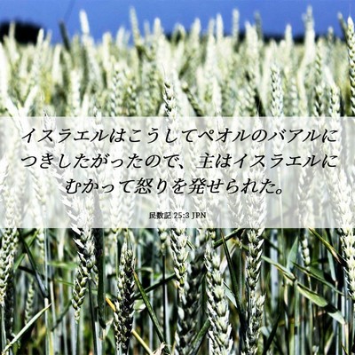 Picture 06 - 民数記 25:3 JPN - イスラエルはこうしてペオルのバア - Bible Verse Picture