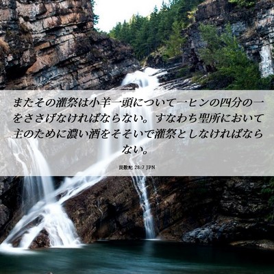 Picture 06 - 民数記 28:7 JPN - またその灌祭は小羊一頭について一 - Bible Verse Picture
