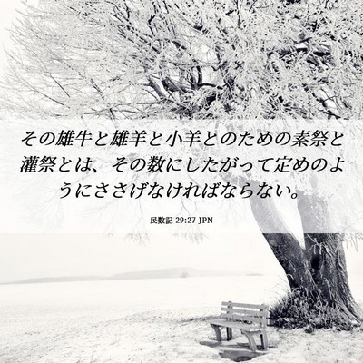 Picture 06 - 民数記 29:27 JPN - その雄牛と雄羊と小羊とのための素 - Bible Verse Picture