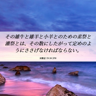Picture 06 - 民数記 29:30 JPN - その雄牛と雄羊と小羊とのための素 - Bible Verse Picture
