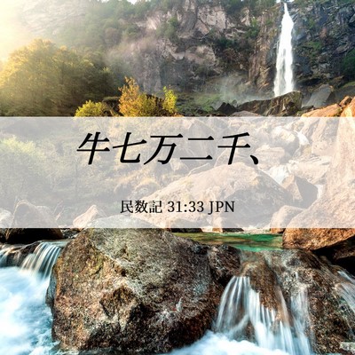 Picture 06 - 民数記 31:33 JPN - 牛七万二千、 - Bible Verse Picture