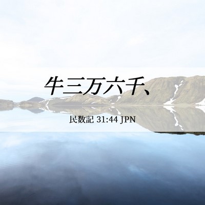 Picture 06 - 民数記 31:44 JPN - 牛三万六千、 - Bible Verse Picture