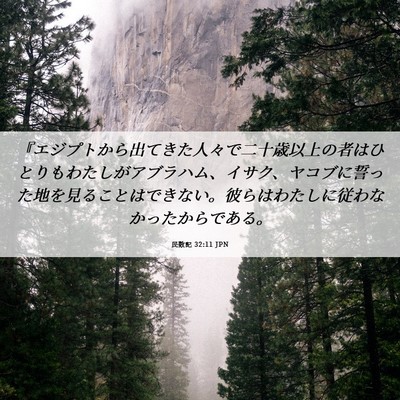 Picture 06 - 民数記 32:11 JPN - 『エジプトから出てきた人々で二十 - Bible Verse Picture