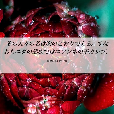 Picture 06 - 民数記 34:19 JPN - その人々の名は次のとおりである。 - Bible Verse Picture