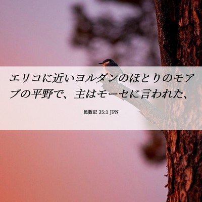 Picture 06 - 民数記 35:1 JPN - エリコに近いヨルダンのほとりのモ - Bible Verse Picture