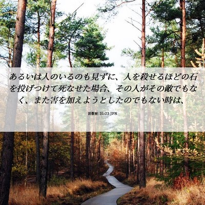 Picture 06 - 民数記 35:23 JPN - あるいは人のいるのも見ずに、人を - Bible Verse Picture