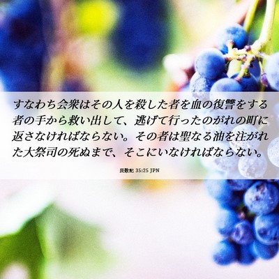 Picture 06 - 民数記 35:25 JPN - すなわち会衆はその人を殺した者を - Bible Verse Picture