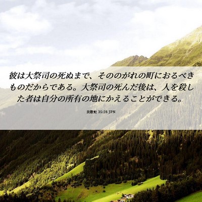 Picture 06 - 民数記 35:28 JPN - 彼は大祭司の死ぬまで、そののがれ - Bible Verse Picture