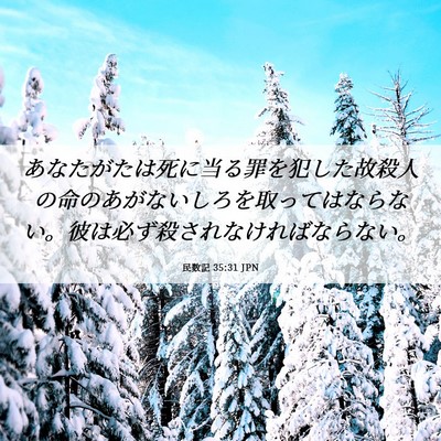 Picture 06 - 民数記 35:31 JPN - あなたがたは死に当る罪を犯した故 - Bible Verse Picture