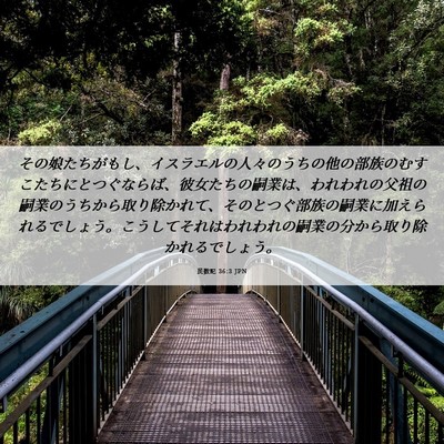 Picture 06 - 民数記 36:3 JPN - その娘たちがもし、イスラエルの人 - Bible Verse Picture
