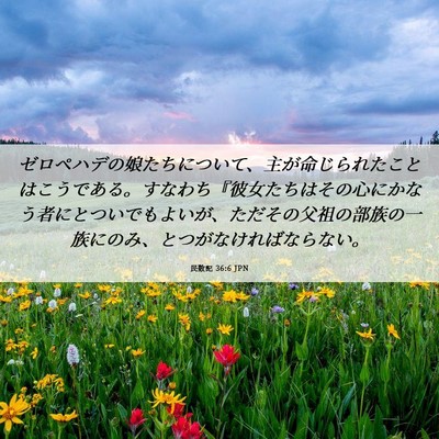 Picture 06 - 民数記 36:6 JPN - ゼロペハデの娘たちについて、主が - Bible Verse Picture