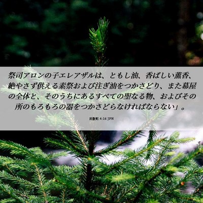 Picture 06 - 民数記 4:16 JPN - 祭司アロンの子エレアザルは、とも - Bible Verse Picture