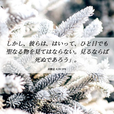 Picture 06 - 民数記 4:20 JPN - しかし、彼らは、はいって、ひと目 - Bible Verse Picture