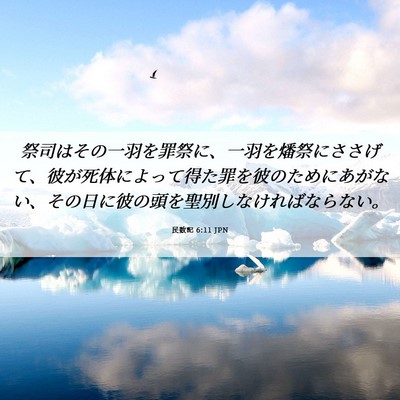 Picture 06 - 民数記 6:11 JPN - 祭司はその一羽を罪祭に、一羽を燔 - Bible Verse Picture