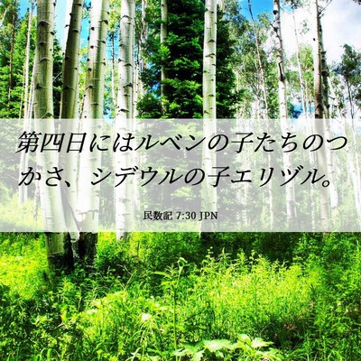 Picture 06 - 民数記 7:30 JPN - 第四日にはルベンの子たちのつかさ - Bible Verse Picture