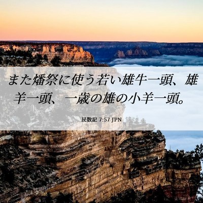Picture 06 - 民数記 7:57 JPN - また燔祭に使う若い雄牛一頭、雄羊 - Bible Verse Picture