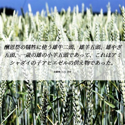 Picture 06 - 民数記 7:71 JPN - 酬恩祭の犠牲に使う雄牛二頭、雄羊 - Bible Verse Picture