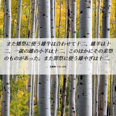Picture 06 - 民数記 7:87 JPN - また燔祭に使う雄牛は合わせて十二 - Bible Verse Picture