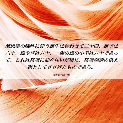 Picture 06 - 民数記 7:88 JPN - 酬恩祭の犠牲に使う雄牛は合わせて - Bible Verse Picture
