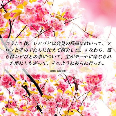 Picture 06 - 民数記 8:22 JPN - こうして後、レビびとは会見の幕屋 - Bible Verse Picture