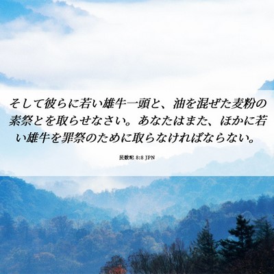 Picture 06 - 民数記 8:8 JPN - そして彼らに若い雄牛一頭と、油を - Bible Verse Picture