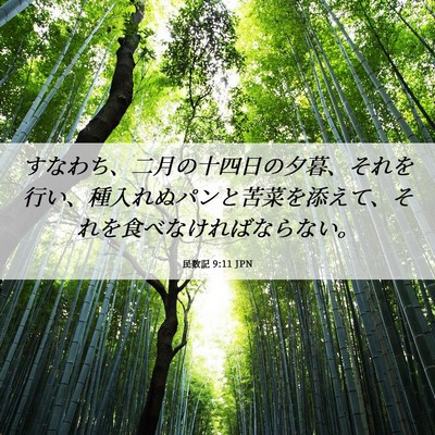 Picture 06 - 民数記 9:11 JPN - すなわち、二月の十四日の夕暮、そ - Bible Verse Picture