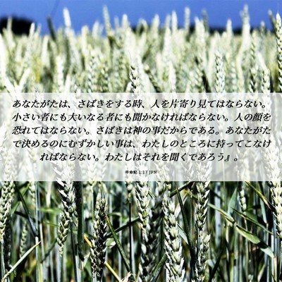 Picture 06 - 申命記 1:17 JPN - あなたがたは、さばきをする時、人 - Bible Verse Picture