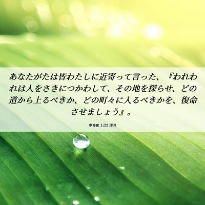 Picture 06 - 申命記 1:22 JPN - あなたがたは皆わたしに近寄って言 - Bible Verse Picture