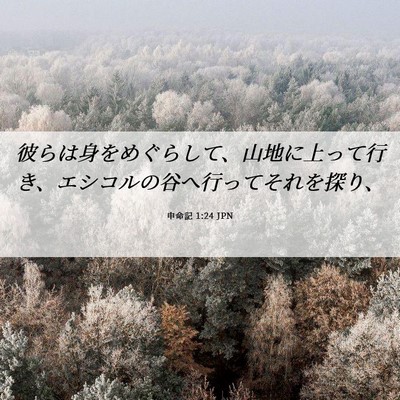 Picture 06 - 申命記 1:24 JPN - 彼らは身をめぐらして、山地に上っ - Bible Verse Picture